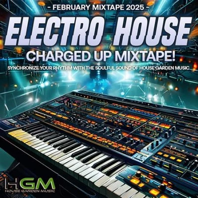 Electro House: Charged Up Mixtape (2025) (MP3)