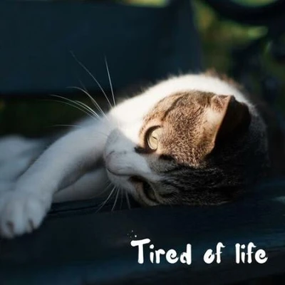 tired of life (2025) (MP3)