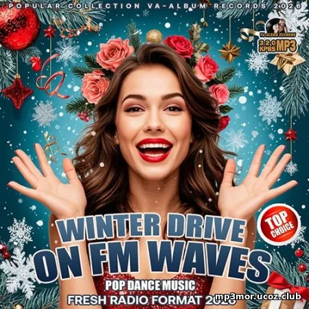 Winter Drive On FM Waves